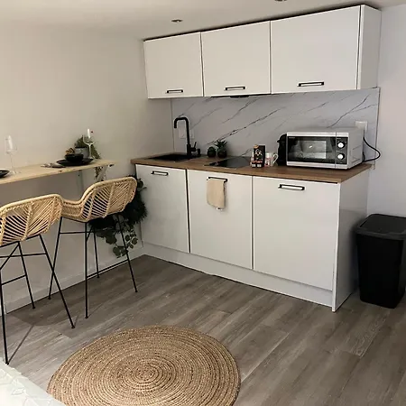 Apartment Le Zenith Vieille D'annecy Annecy