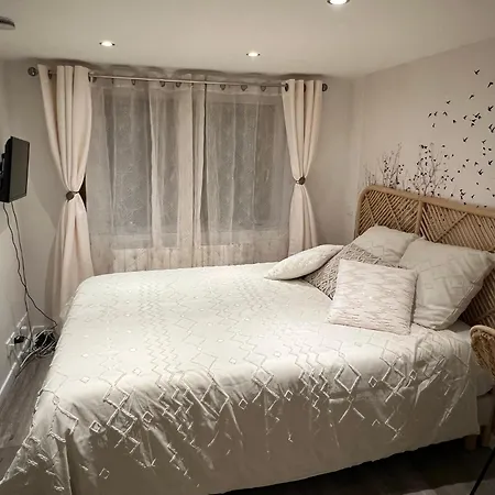 Le Zénith Vieille D'annecy Annecy