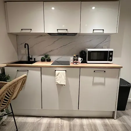 Apartment Le Zenith Vieille D'annecy Annecy